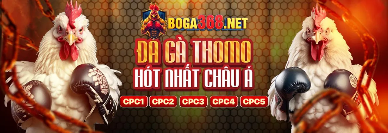 Hình ảnh banner chính trang Tin Tức 88qq link mới